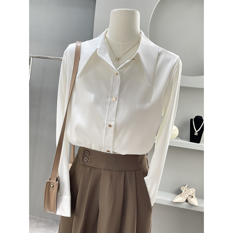 Long Sleeve Shirts Womens Chif - đánh giá và giá Women'S Formal Wear Blouse