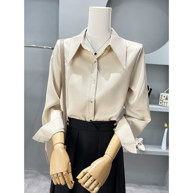 Long Sleeve Shirts Womens Chif - đánh giá và giá Women'S Formal Wear Blouse