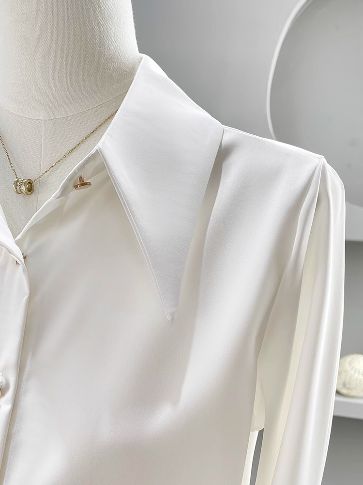 Long Sleeve Shirts Womens Chif - đánh giá và giá Women'S Formal Wear Blouse