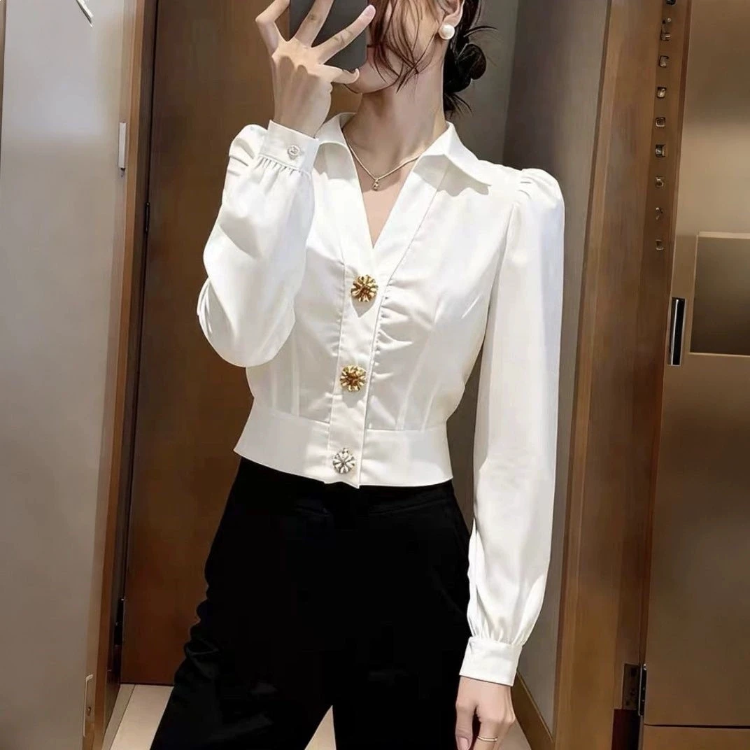 Elegant White Shirt V Neck Blo - đánh giá và giá Women'S Formal Wear Blouse